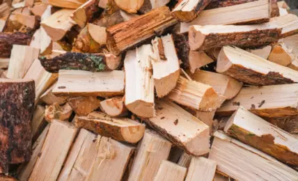 Chauffage au bois à Bourg-en-Bresse : une solution économique et écologique