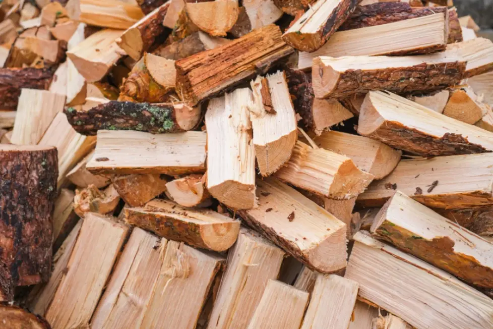 Chauffage au bois à Bourg-en-Bresse : une solution économique et écologique